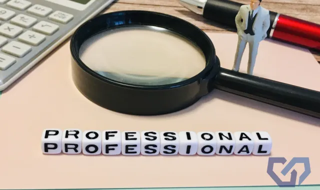 PROFESSIONALと書かれたブロックと虫眼鏡