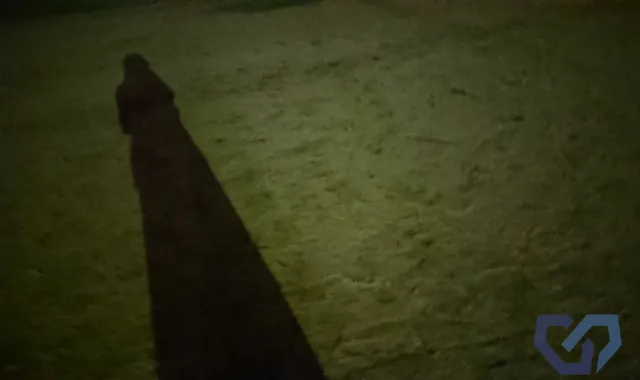 共謀型ストーカーの定義と実態