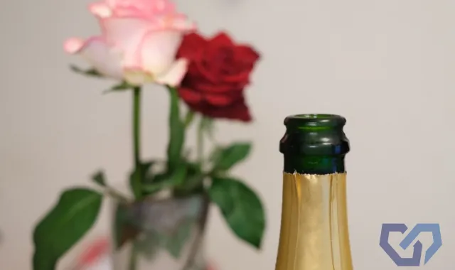 事例1：ホストに依存するようになった娘