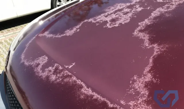 被害を受けた車